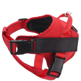 Pet harness